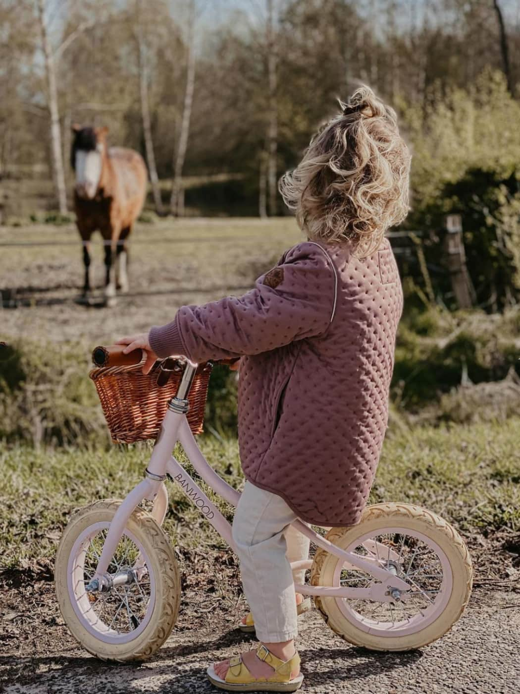 Banwood Balance Bike