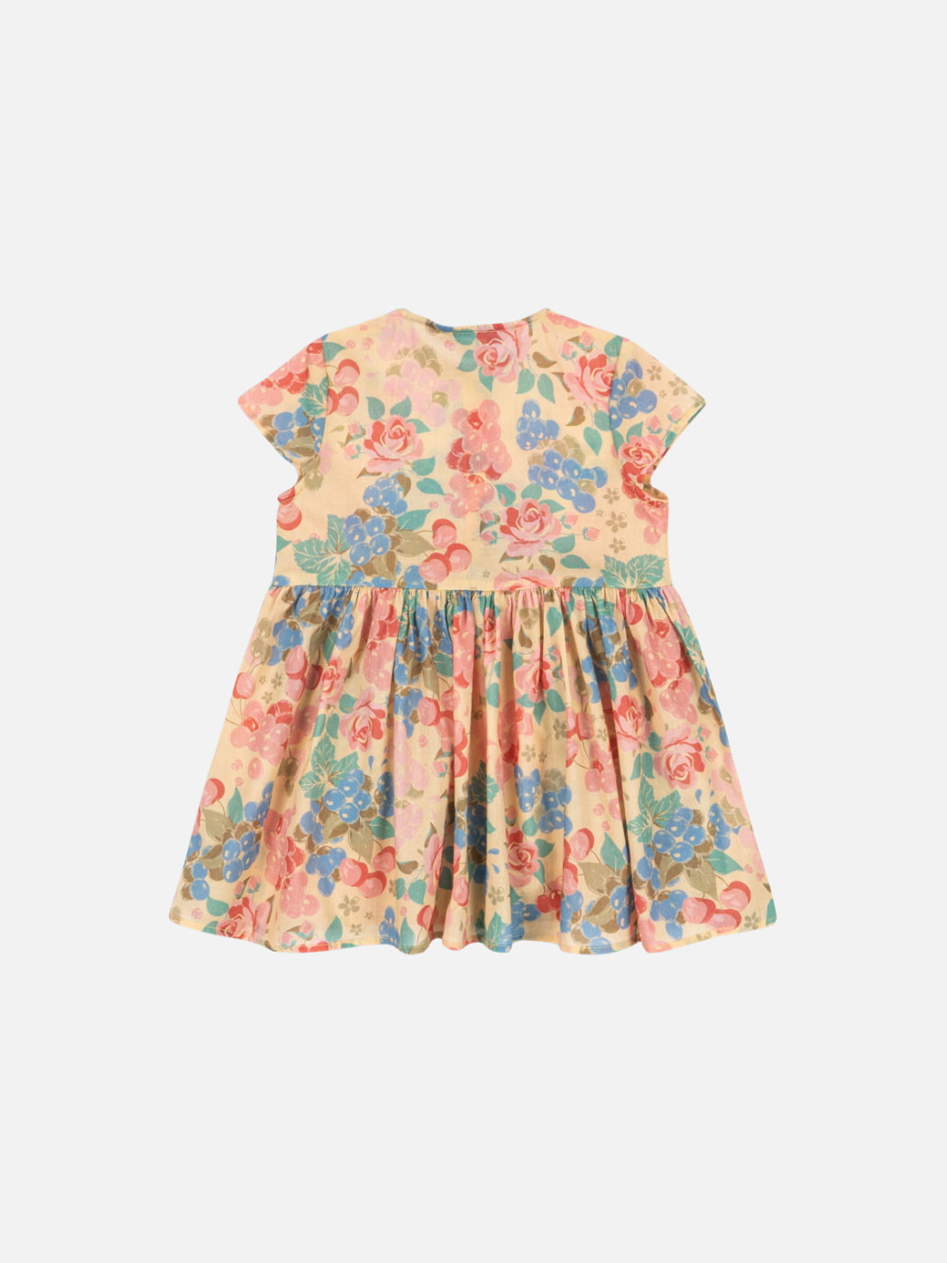 Pacey Dress