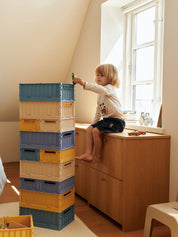 Weston Medium Storage Box 2 Pack - Lemon Yellow