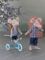 Big Brother Mouse