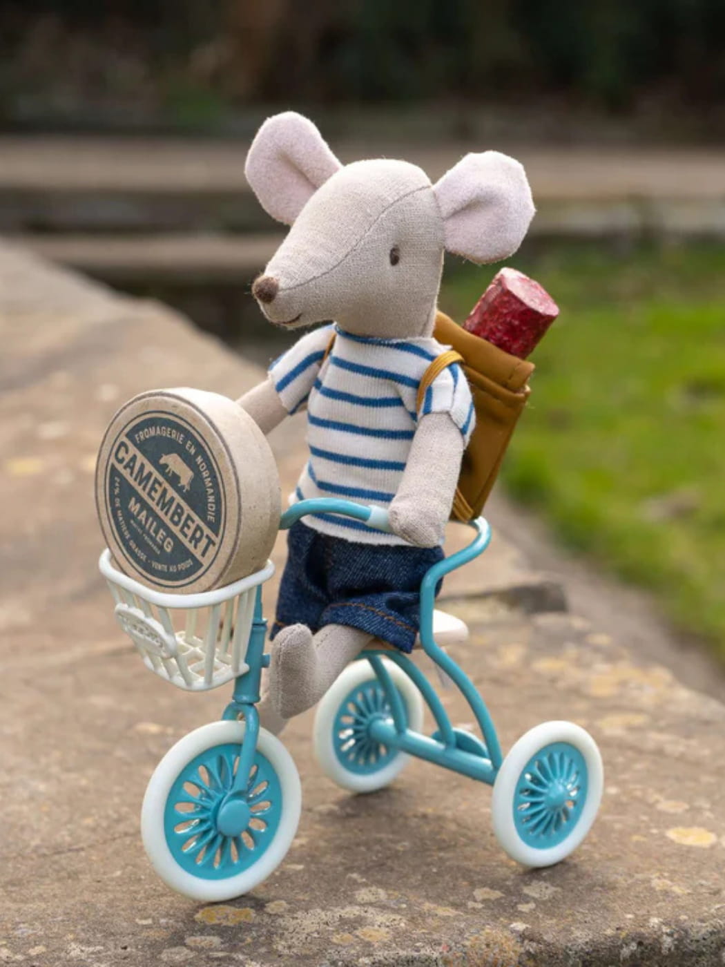 Big Brother Mouse