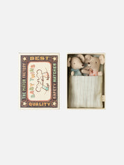 Twin Baby Mice