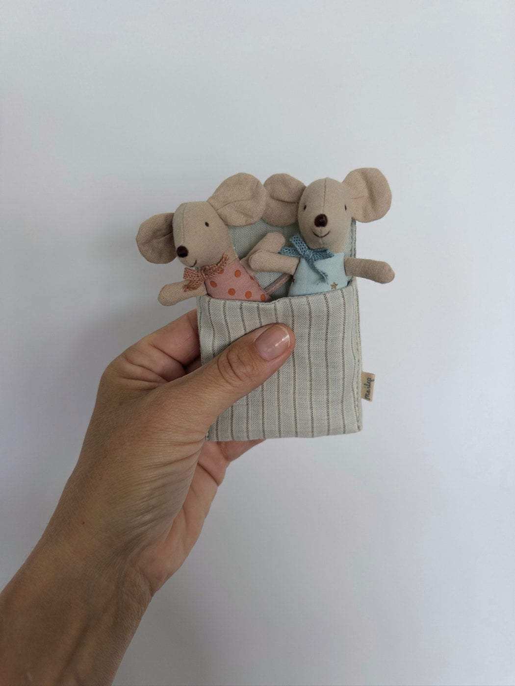 Zwillingsbaby-Mäuse in Streichholzschachtel 